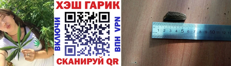ГАШ Изолятор  Луга 