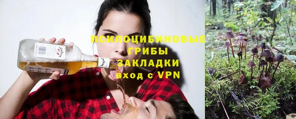 ECSTASY Абинск