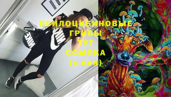 круглые Алексеевка