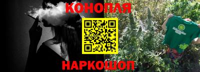 молекула духа Новозыбков