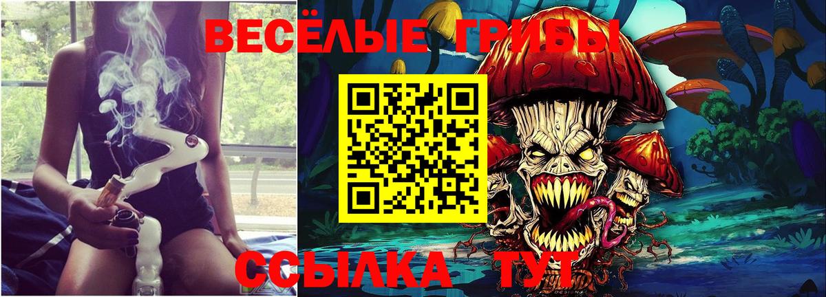Псилоцибиновые грибы прущие грибы Луга