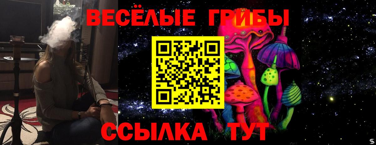 Псилоцибиновые грибы GOLDEN TEACHER  Вход с VPN  Луга  Галлюциногенные грибы Magic Shrooms 